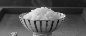 お米料理研究家のしらいのりこさんのwikiプロフィールは新潟出身でレシピ、年齢は？ photo 3