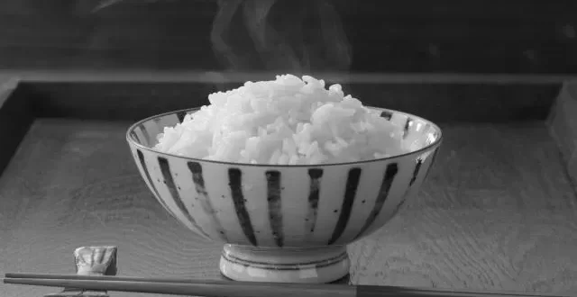 お米料理研究家のしらいのりこさんのwikiプロフィールは新潟出身でレシピ、年齢は？ photo 3